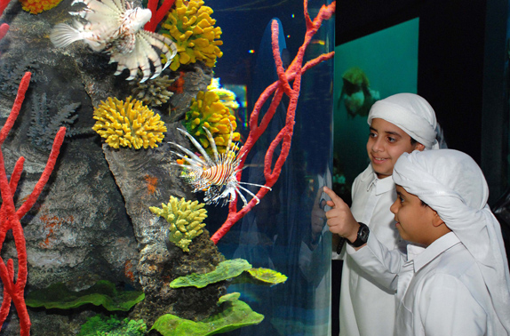 AQUARIUM